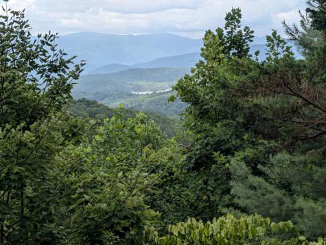 100 Sourwood Lane Hayesville NC 28904