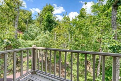 100 Sourwood Lane Hayesville NC 28904