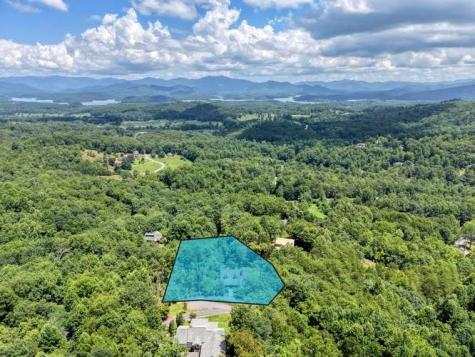 100 Sourwood Lane Hayesville NC 28904