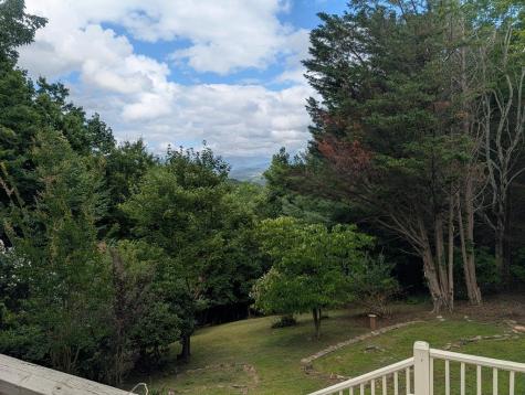 100 Sourwood Lane Hayesville NC 28904