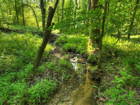 279 Shallow Water Trail Talking Rock GA 30175