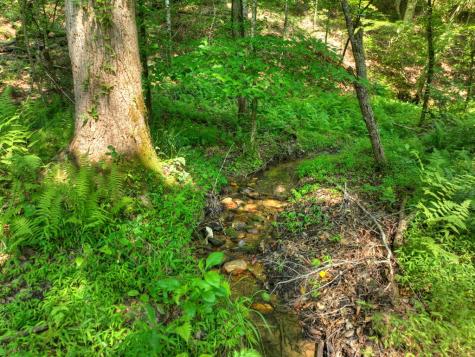279 Shallow Water Trail Talking Rock GA 30175
