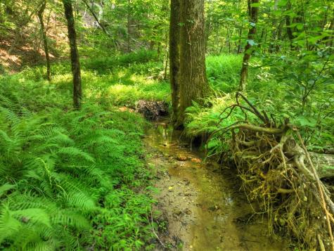 279 Shallow Water Trail Talking Rock GA 30175