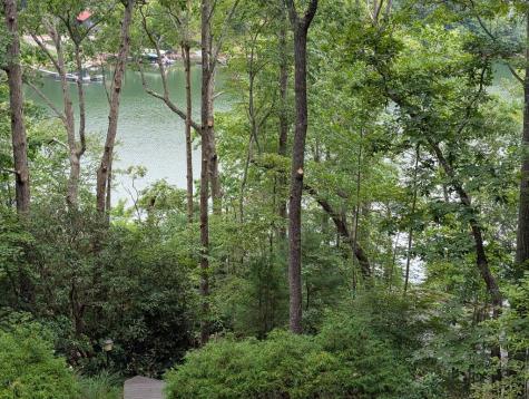 301 Hidden Cove Crossover Hayesville NC 28904