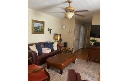 30/32 Oakwood Court Blue Ridge GA 30513-4222