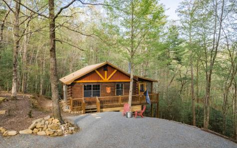1311 Little Bushy Head Road Blue Ridge GA 30513
