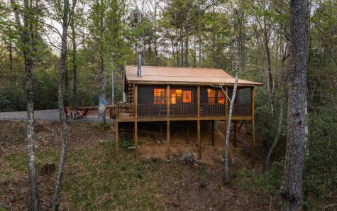 1311 Little Bushy Head Road Blue Ridge GA 30513