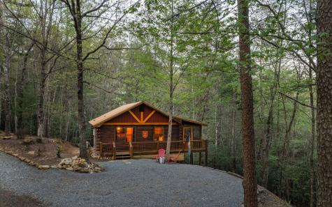 1311 Little Bushy Head Road Blue Ridge GA 30513