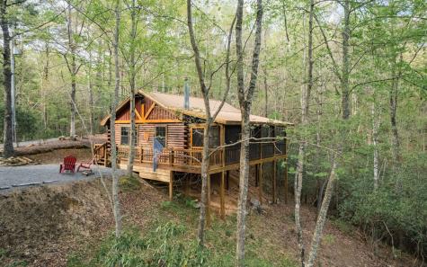 1311 Little Bushy Head Road Blue Ridge GA 30513