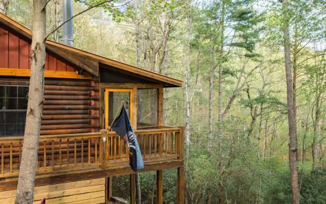 1311 Little Bushy Head Road Blue Ridge GA 30513