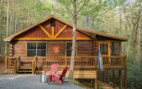 1311 Little Bushy Head Road Blue Ridge GA 30513