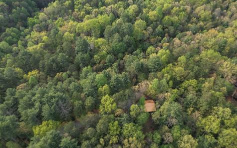1311 Little Bushy Head Road Blue Ridge GA 30513
