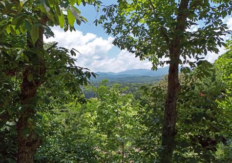 714 Mountain View Road Hiawassee GA 30546