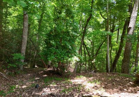 714 Mountain View Road Hiawassee GA 30546