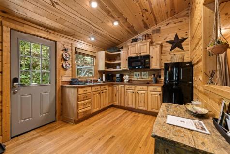 328 Wildwood Trail Mineral Bluff GA 30559