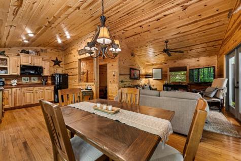 328 Wildwood Trail Mineral Bluff GA 30559