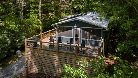 328 Wildwood Trail Mineral Bluff GA 30559