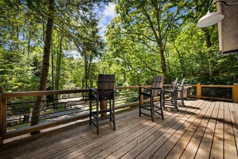 328 Wildwood Trail Mineral Bluff GA 30559