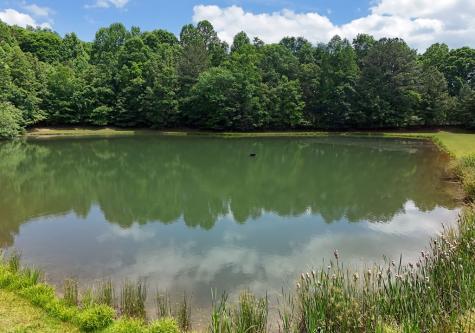 237 Terrace Lane Blairsville GA 30512