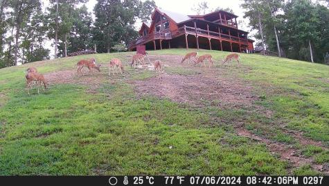 4760 Anderson Road Hiawassee GA 30546