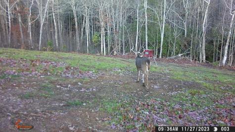 4760 Anderson Road Hiawassee GA 30546