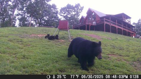 4760 Anderson Road Hiawassee GA 30546