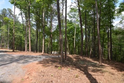 Lot 5 Murphy Hwy (spur 60) Mineral Bluff GA 30559