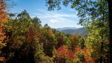 587 Lower Prince Mountain Road Cherry Log GA 30522
