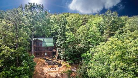 587 Lower Prince Mountain Road Cherry Log GA 30522