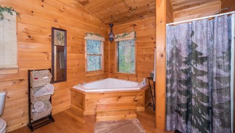 587 Lower Prince Mountain Road Cherry Log GA 30522