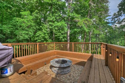 2 Watson Gap Road Mineral Bluff GA 30559