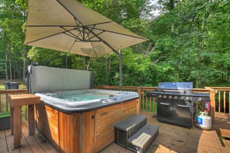 2 Watson Gap Road Mineral Bluff GA 30559