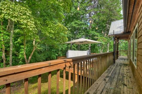 2 Watson Gap Road Mineral Bluff GA 30559