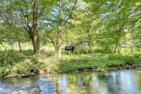 1080 Chairmaker Drive Hayesville NC 28904