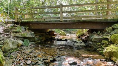 1080 Chairmaker Drive Hayesville NC 28904