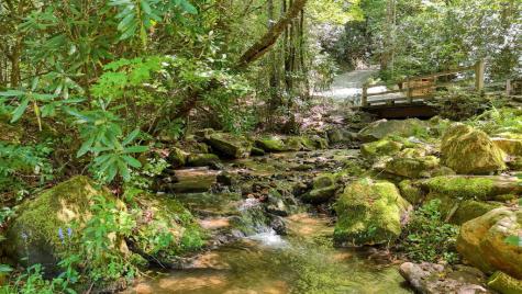 1080 Chairmaker Drive Hayesville NC 28904