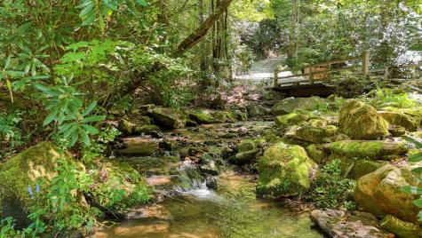 1080 Chairmaker Drive Hayesville NC 28904