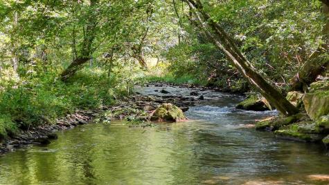 1080 Chairmaker Drive Hayesville NC 28904