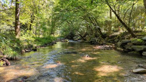 1080 Chairmaker Drive Hayesville NC 28904