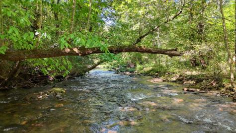 1080 Chairmaker Drive Hayesville NC 28904