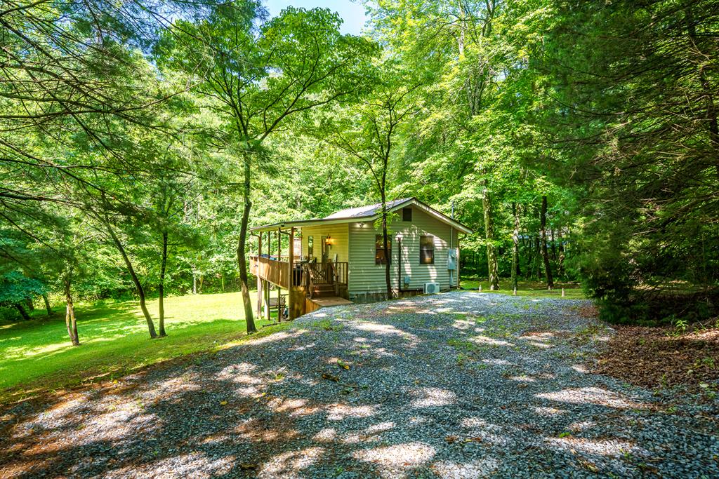 1643 Lucius Road Cherry Log GA 30522