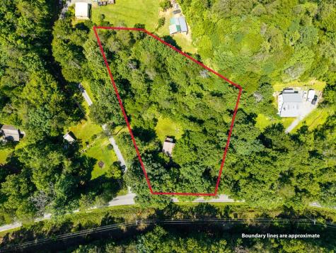 1643 Lucius Road Cherry Log GA 30522
