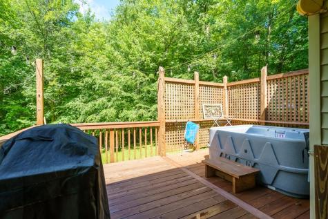 1643 Lucius Road Cherry Log GA 30522