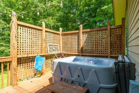 1643 Lucius Road Cherry Log GA 30522