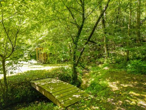 1643 Lucius Road Cherry Log GA 30522