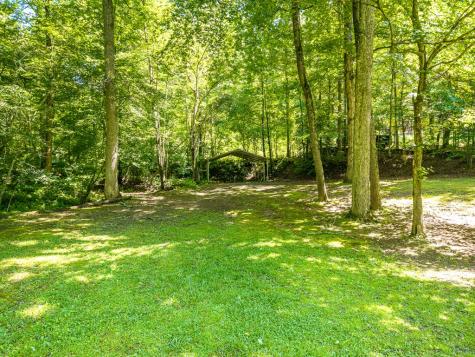 1643 Lucius Road Cherry Log GA 30522