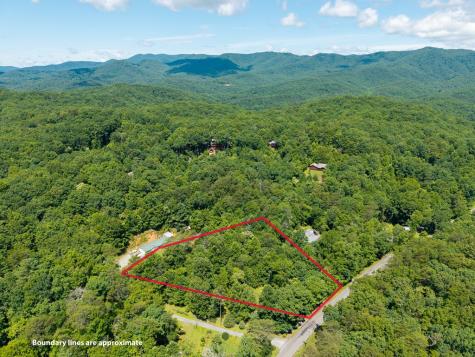 1643 Lucius Road Cherry Log GA 30522