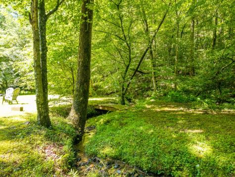 1643 Lucius Road Cherry Log GA 30522