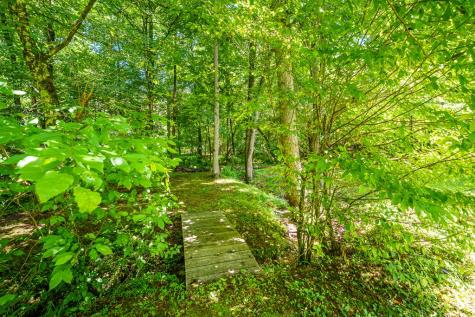 1643 Lucius Road Cherry Log GA 30522