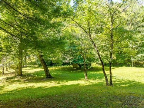 1643 Lucius Road Cherry Log GA 30522